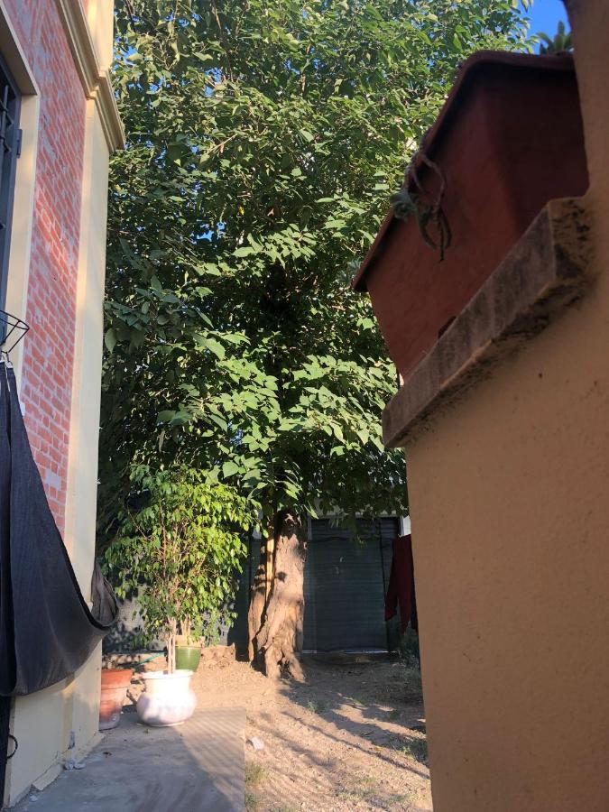 בולוניה Daro Apartments מראה חיצוני תמונה